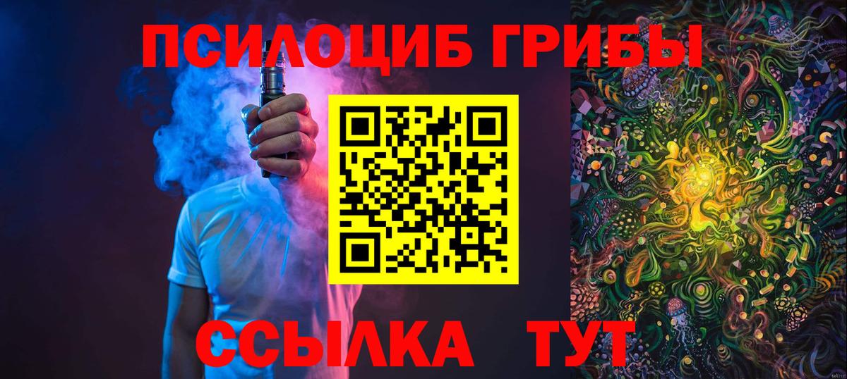 Губаха  цена наркотик  Вход с VPN  Псилоцибиновые грибы мухоморы 